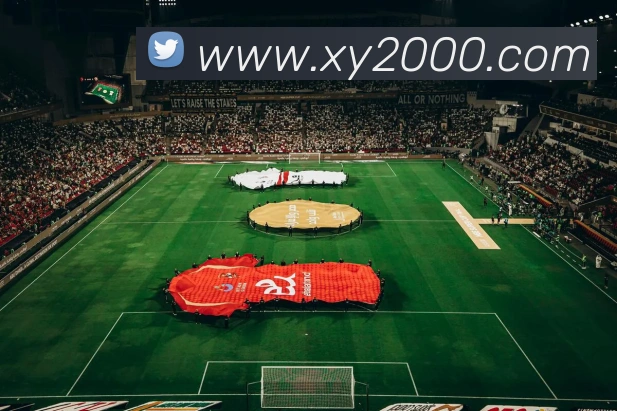 企业概况